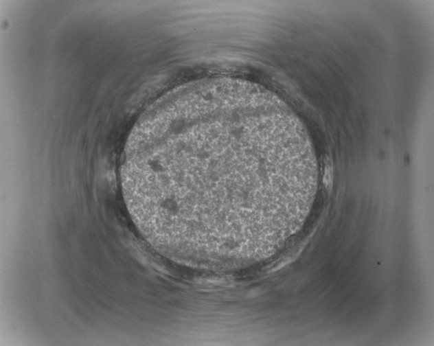 X0000086030771200704201945