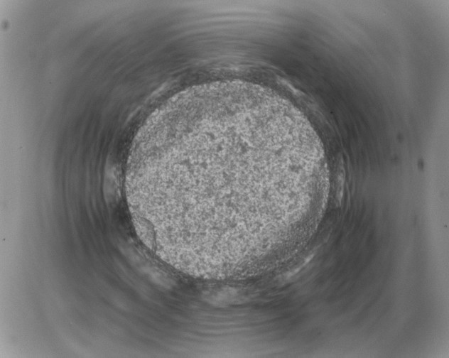 X0000086030772200704201945