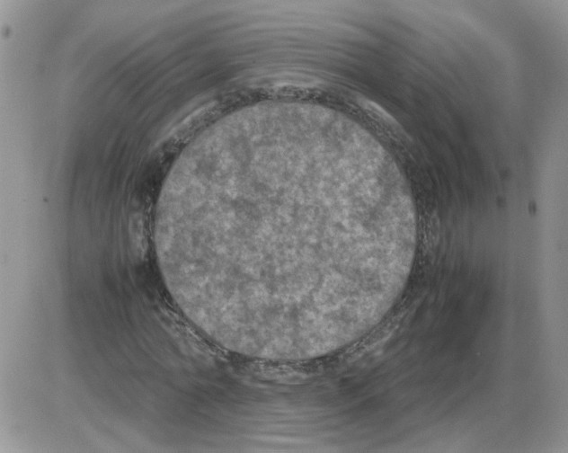 X0000086030774200704201945