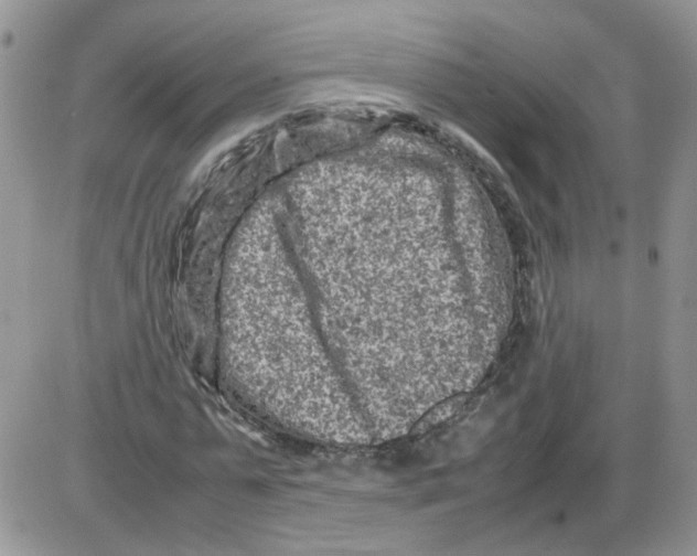 X0000086030775200704201945