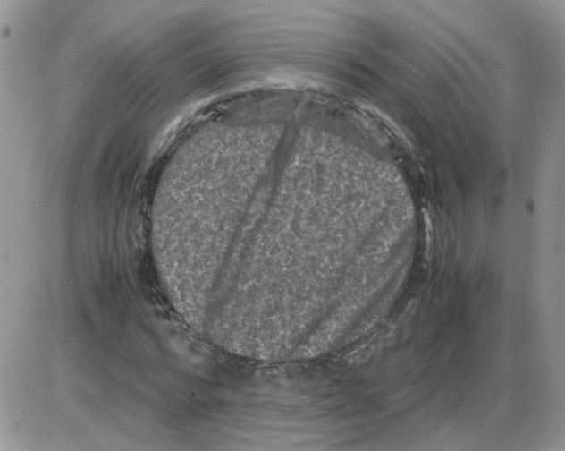 X0000086030776200704201945