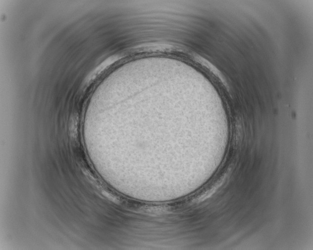 X0000086030778200704201945