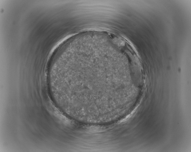 X0000086030779200704201945