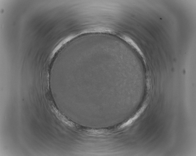 X0000086030781200704201945