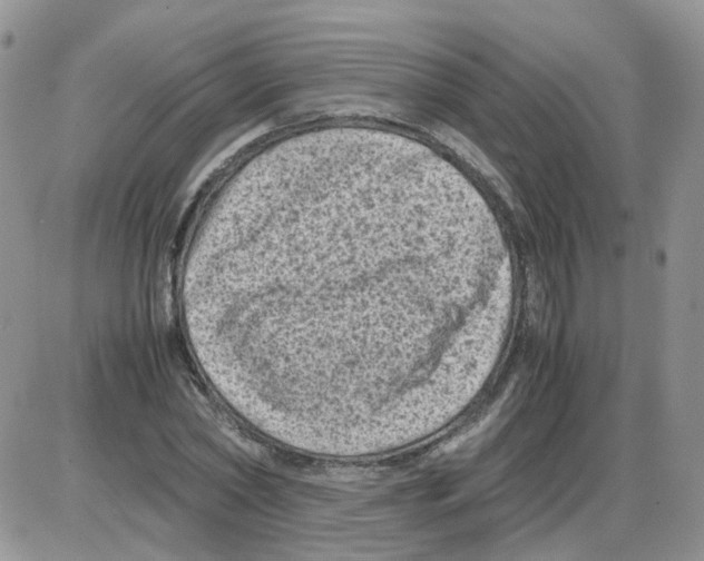 X0000086030782200704201945