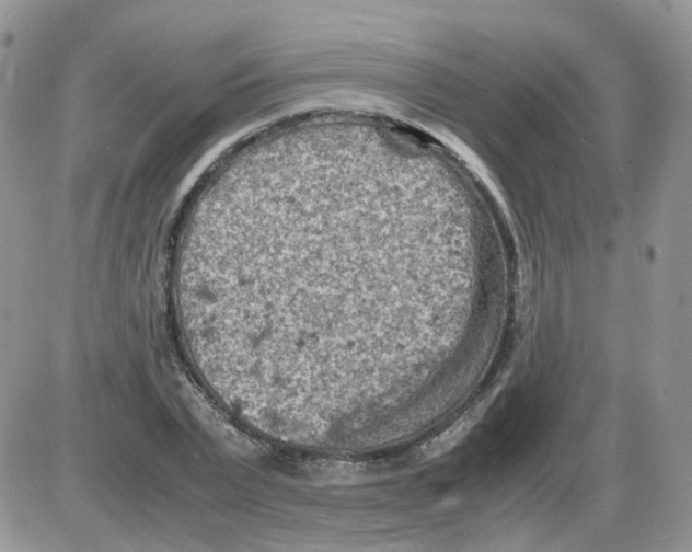 X0000086030783200704201945