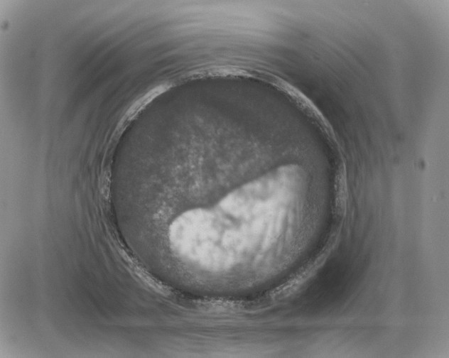 X0000086030785200704201945