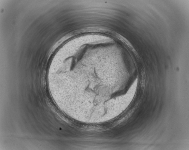 X0000086030786200704201945