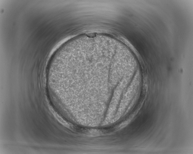 X0000086030787200704201945