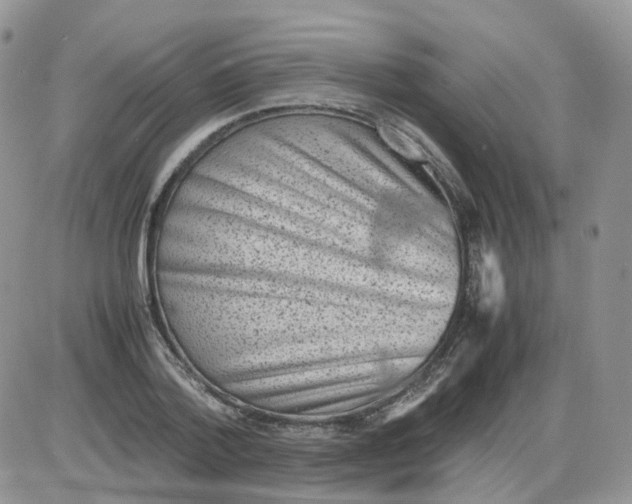 X0000086030788200704201945