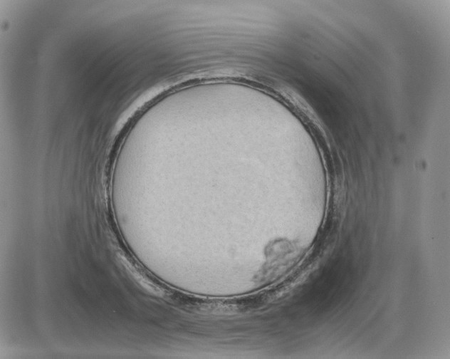 X0000086030789200704201945