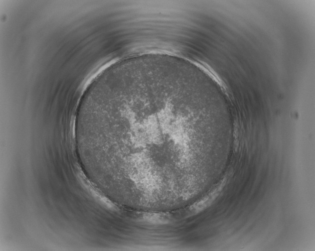 X0000086030790200704201945