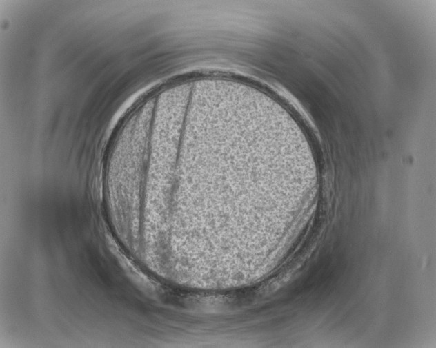 X0000086030791200704201945