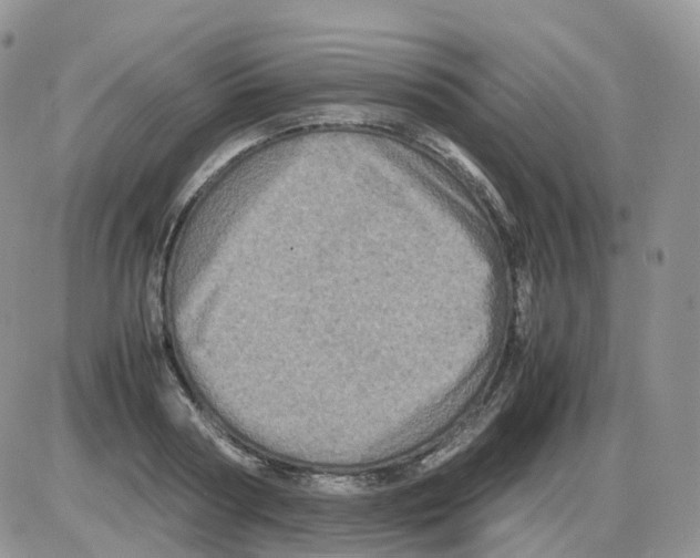 X0000086030794200704201945