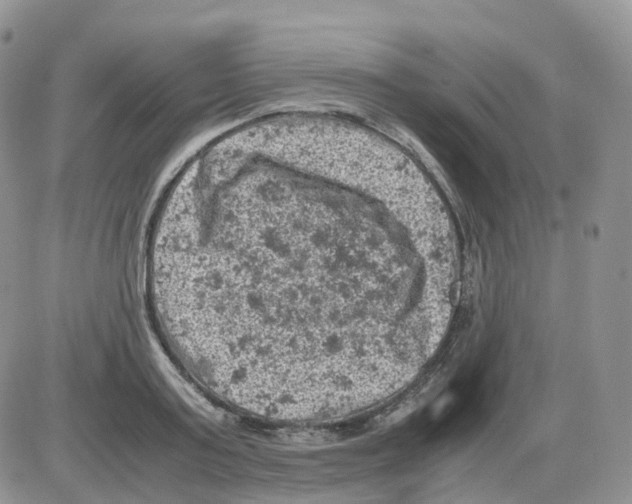 X0000086030795200704201945