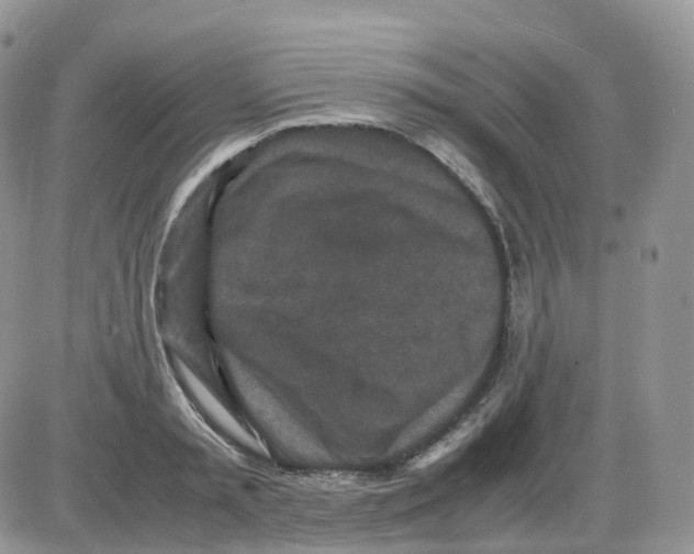 X0000086030797200704201945