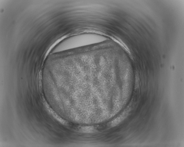 X0000086030798200704201945