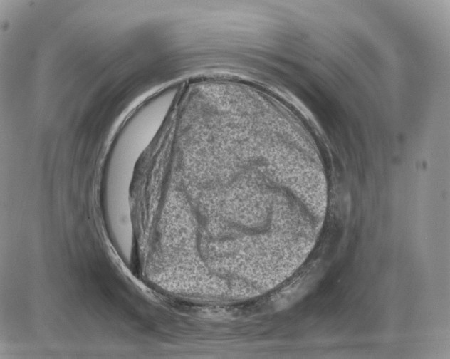 X0000086030799200704201945