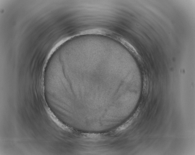 X0000086030800200704201945