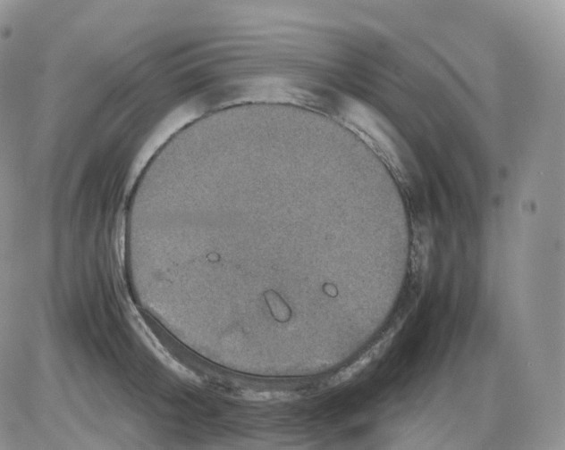 X0000086030804200704201945