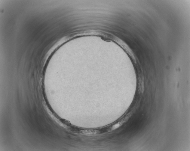 X0000086030805200704201945