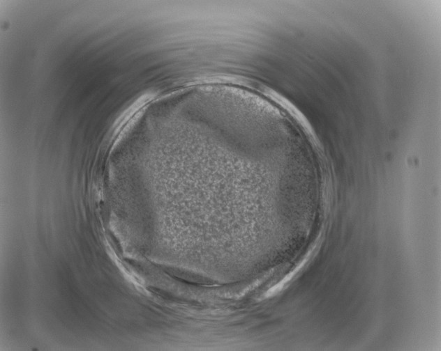 X0000086030809200704201945