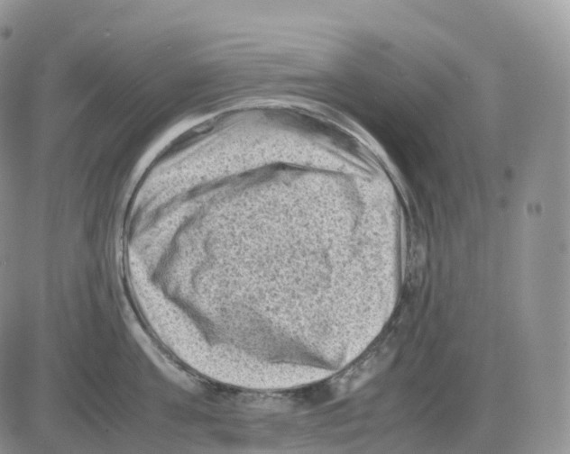 X0000086030811200704201944