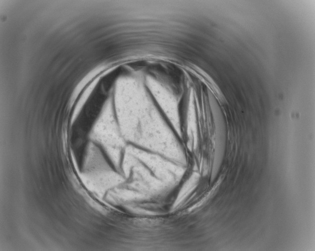 X0000086030812200704201944