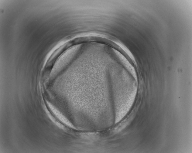 X0000086030813200704201944