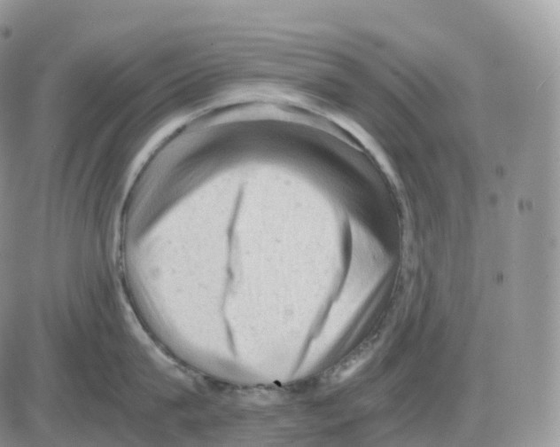 X0000086030815200704201944