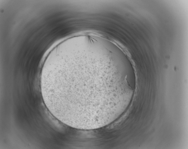 X0000086030816200704201944