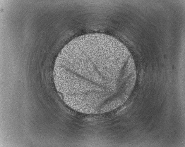 X0000086030817200704201944