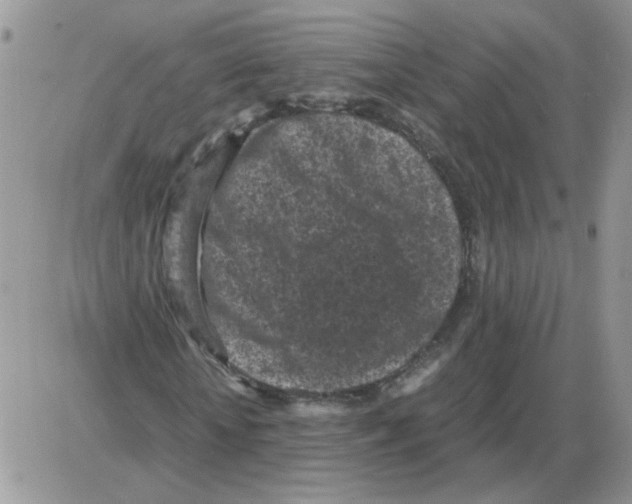 X0000086030818200704201944