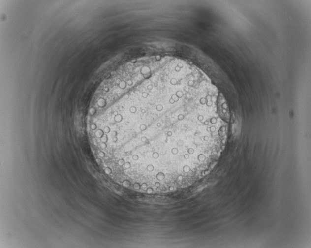 X0000086030819200704201944