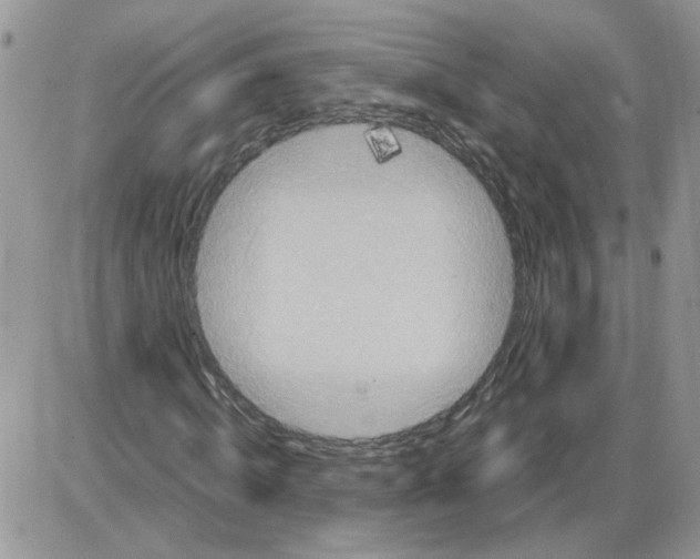 X0000086030820200704201944