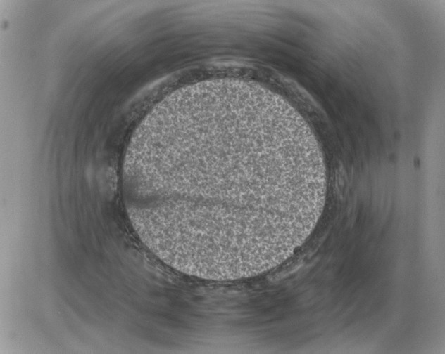 X0000086030821200704201944