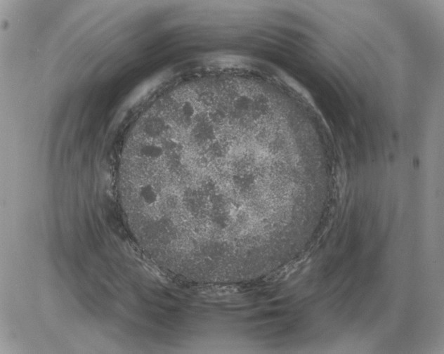 X0000086030823200704201944