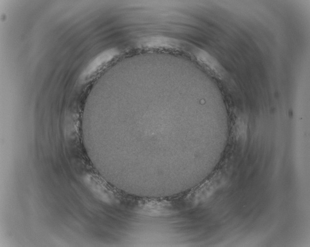 X0000086030824200704201944