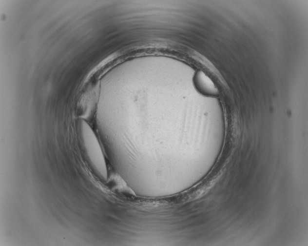 X0000086030826200704201944