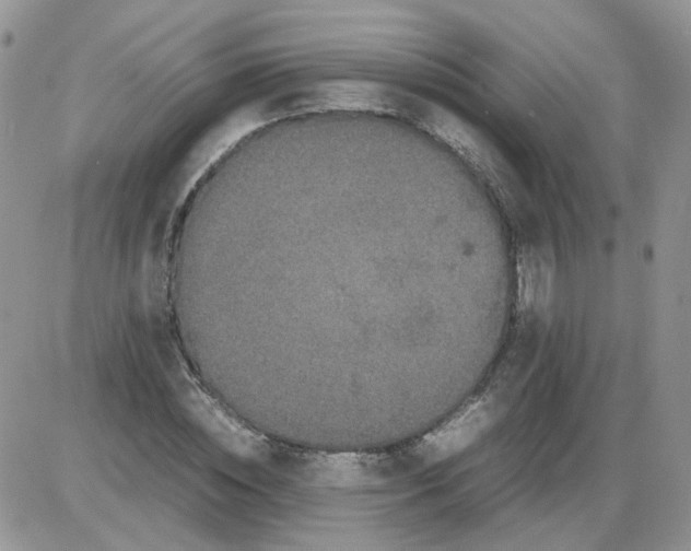 X0000086030828200704201944