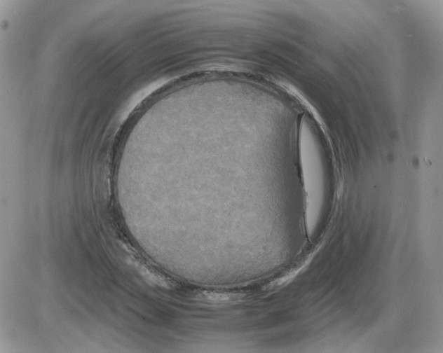 X0000086030829200704201944