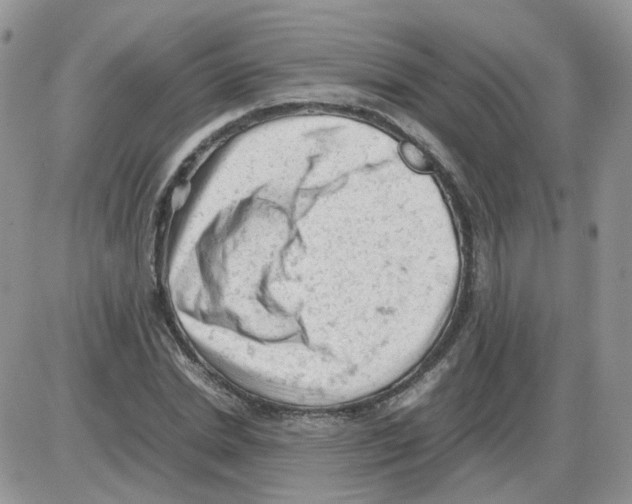 X0000086030830200704201944