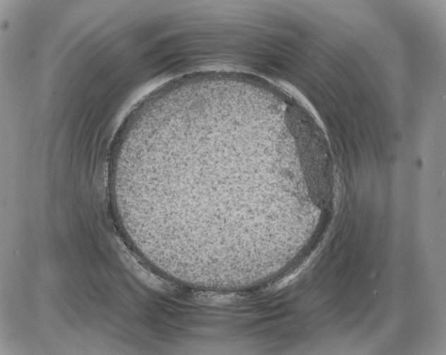 X0000086030831200704201944