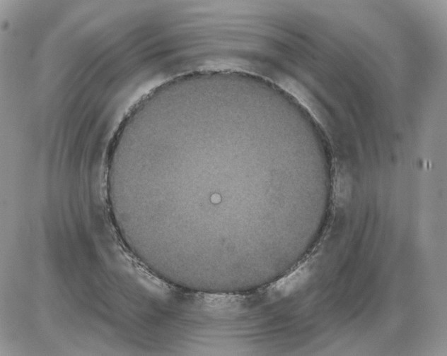 X0000086030832200704201944