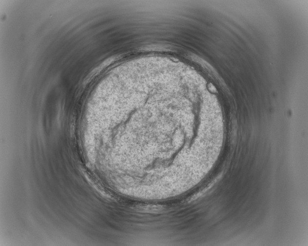 X0000086030833200704201944