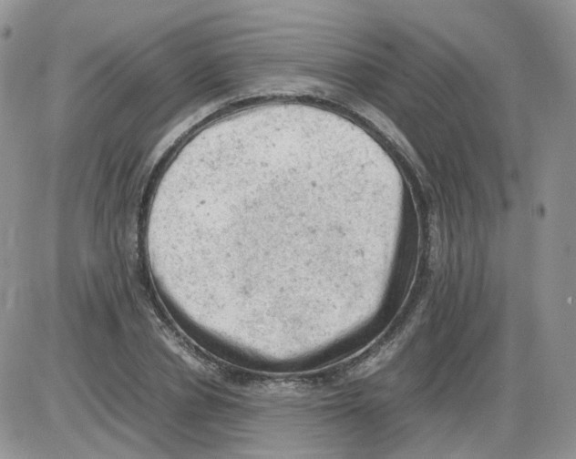 X0000086030834200704201944