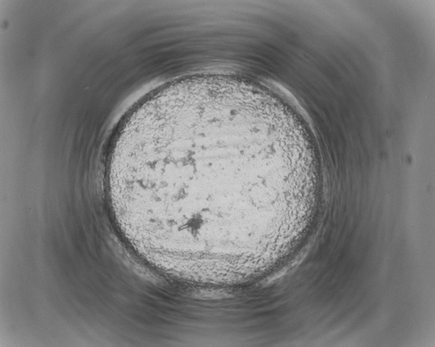 X0000086030835200704201944