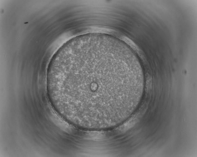 X0000086030836200704201944