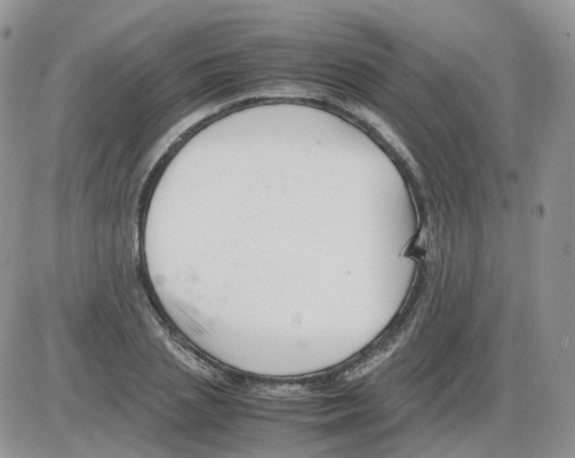 X0000086030837200704201944