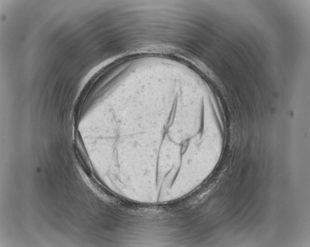 X0000086030838200704201944